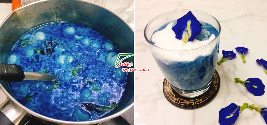 Nấu ch&egrave; nếp long nh&atilde;n hoa đậu biếc